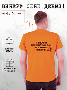 Футболка мужская Приносим временные извинения за искренние неудобства 