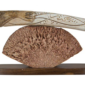 Композиция «Морж плывущий»