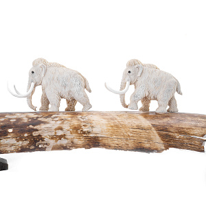 Композиция Ледниковый период