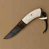 Нож Ястреб
