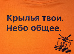 Футболка мужская Крылья твои. Небо общее. 