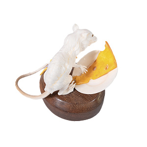 Композиция Крыса. На удачу