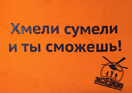 Футболка мужская Хмели сумели и ты сможешь! 