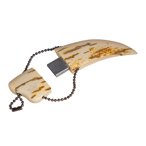 Флешка «Коготь дракона» 32ГБ