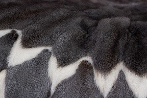 Покрывало «Белка»