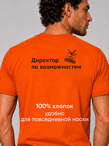 Футболка мужская Директор по возможностям! 