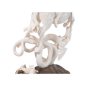 Композиция Змееборец   