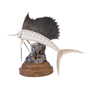 Статуэтка Рыба парусник