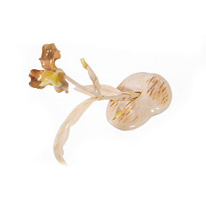 Композиция Ирис   