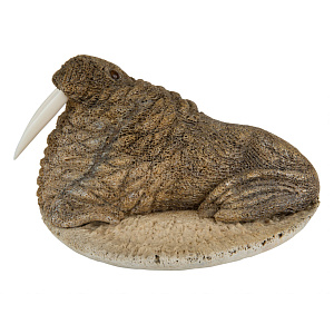 Статуэтка «Морж на диске»