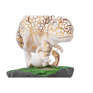 Композиция Наседка